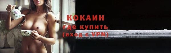 твердый Богородицк