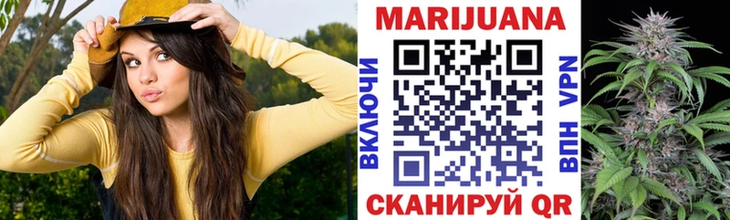 наркота  Белокуриха  Каннабис тримм 